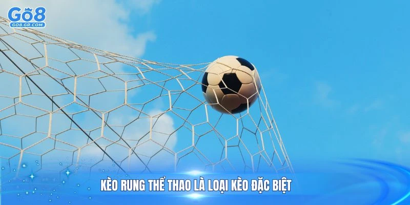 Kèo rung thể thao là loại kèo đặc biệt mang đến cơ hội thắng lớn cho người chơi trong thời gian ngắn